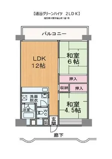 通谷グリーンハイツ【705号室】の間取り