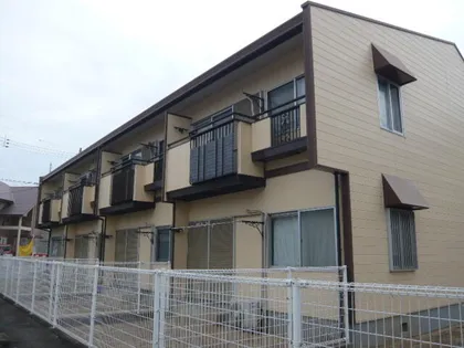 タウニーミドリの画像