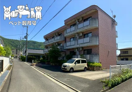 グレースF Cの画像