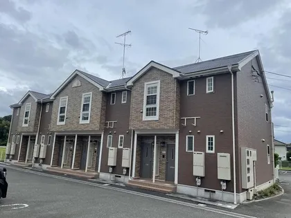 プラシードCの画像