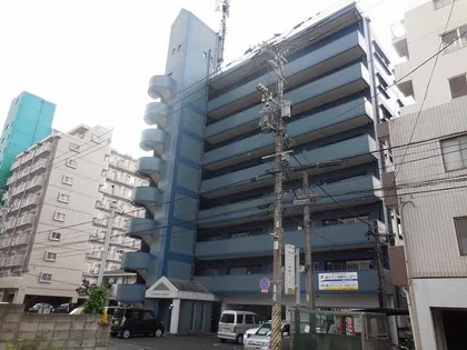 エクセレントハウス大興【7階】の外観