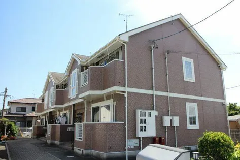 エバーグリーンSAKAGUTIの画像