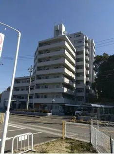 大阪府泉南市信達市場【マンション】の外観