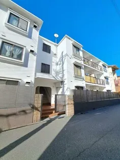 シダーコートの画像