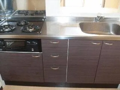 レオネクストラーラⅡ【102号室】のキッチン