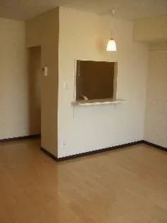 レオネクストラーラⅡ【102号室】の内装