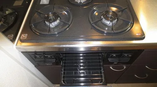 レオネクストラーラⅡ【102号室】のキッチン