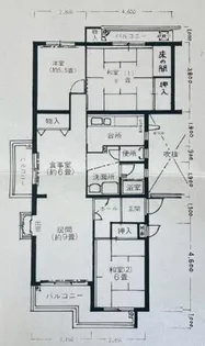 中落合第一住宅486号棟【504号室】の間取り