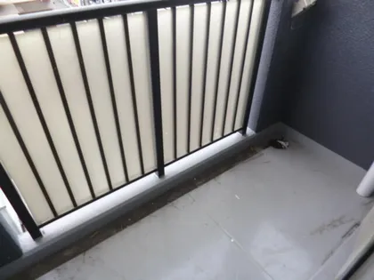 アスール神戸【0407号室】の内装