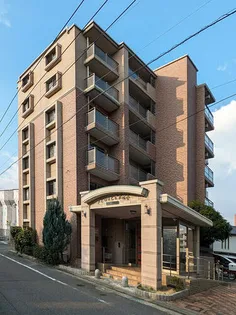 ネオジェラーモの画像