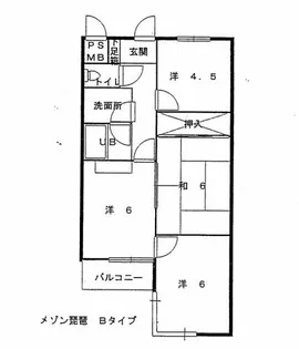 メゾン琵琶【305号室】の間取り