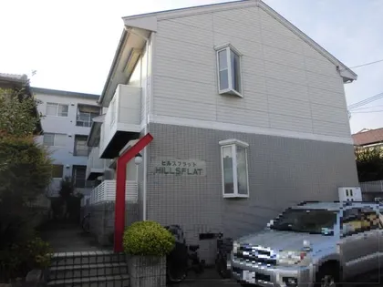 ヒルスフラットの画像