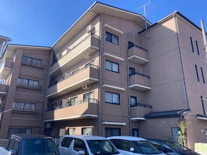 ブリンダルダイキの画像