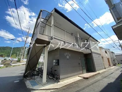 ソレイユ錦の画像