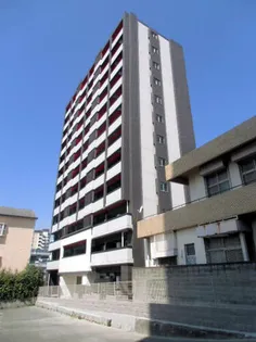 ウィークス ステラの画像