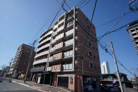 シエル中原の画像