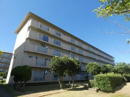 奈多団地7棟の画像