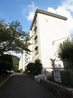 鶴甲コーポ14号館【505号室】の外観