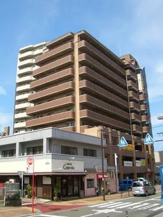 ホワイトリバー駅前【602号室】の外観