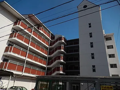 御影エナムールの画像