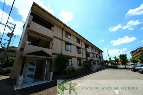 ブエナビスタの画像