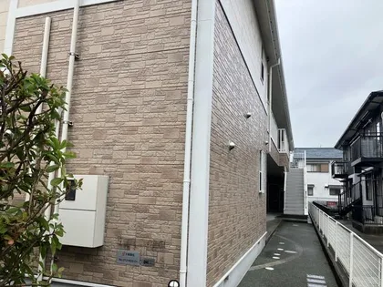 ネムノキの画像