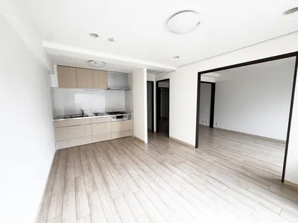 ライオンズマンション第3大通の画像