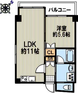 ピトレスク【501号室】の間取り