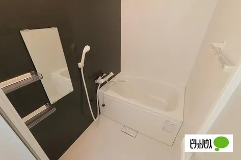 スノーランド城西【405号室】の風呂