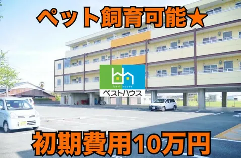 BA BLDの画像