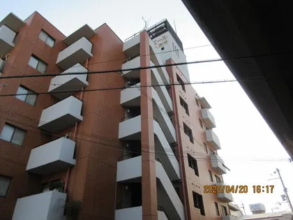 ルミエール久宝寺【301号室】の外観