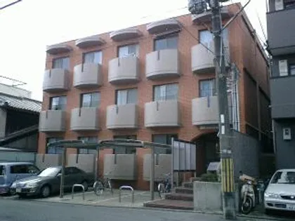 アイリス衣笠の画像