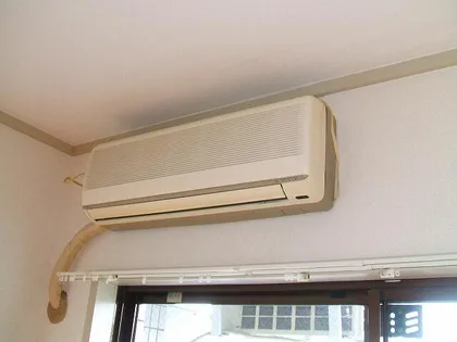 SANTO LALUZ SONODAHIGASHIの画像