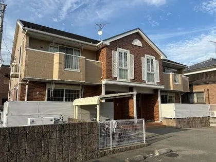 カモミールIII Aの画像