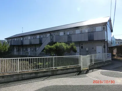 エバーグリーンマルモの画像