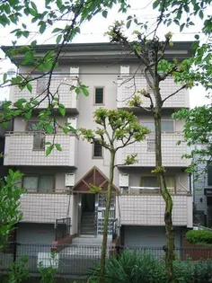 ソルディア甲子園の画像