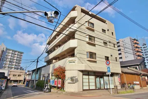 ソフィアハイツ【501号室】の外観