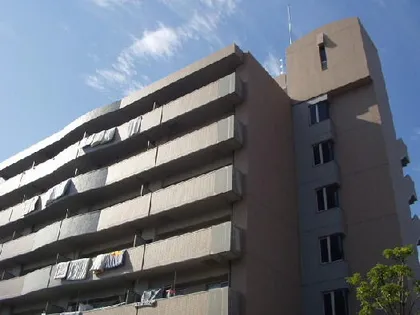 シーズモアの画像