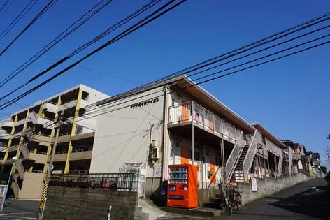 ヤングハイツアイリス【202号室】の外観