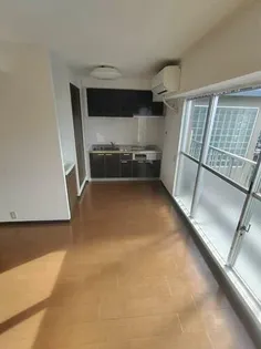 南堀江エスカイハイツ【12階】の外観