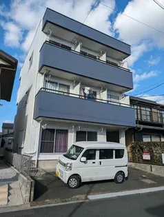 アルストロメリアの画像