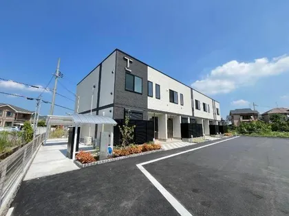 ハナミズキの画像