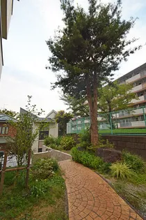 櫻テラス松山【2階】の外観