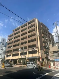大阪府大阪市生野区勝山北1丁目【マンション】の外観