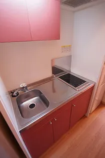 レオパレスPINE【311号室】のキッチン