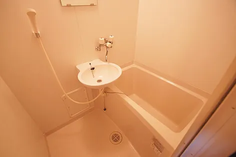 レオパレスPINE【311号室】の風呂