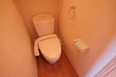 レオパレスPINE【311号室】の内装