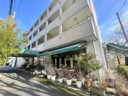 アビターレGの画像