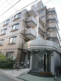 ロイヤルクローバーの画像