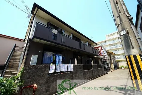 ジュネス フォーションの画像